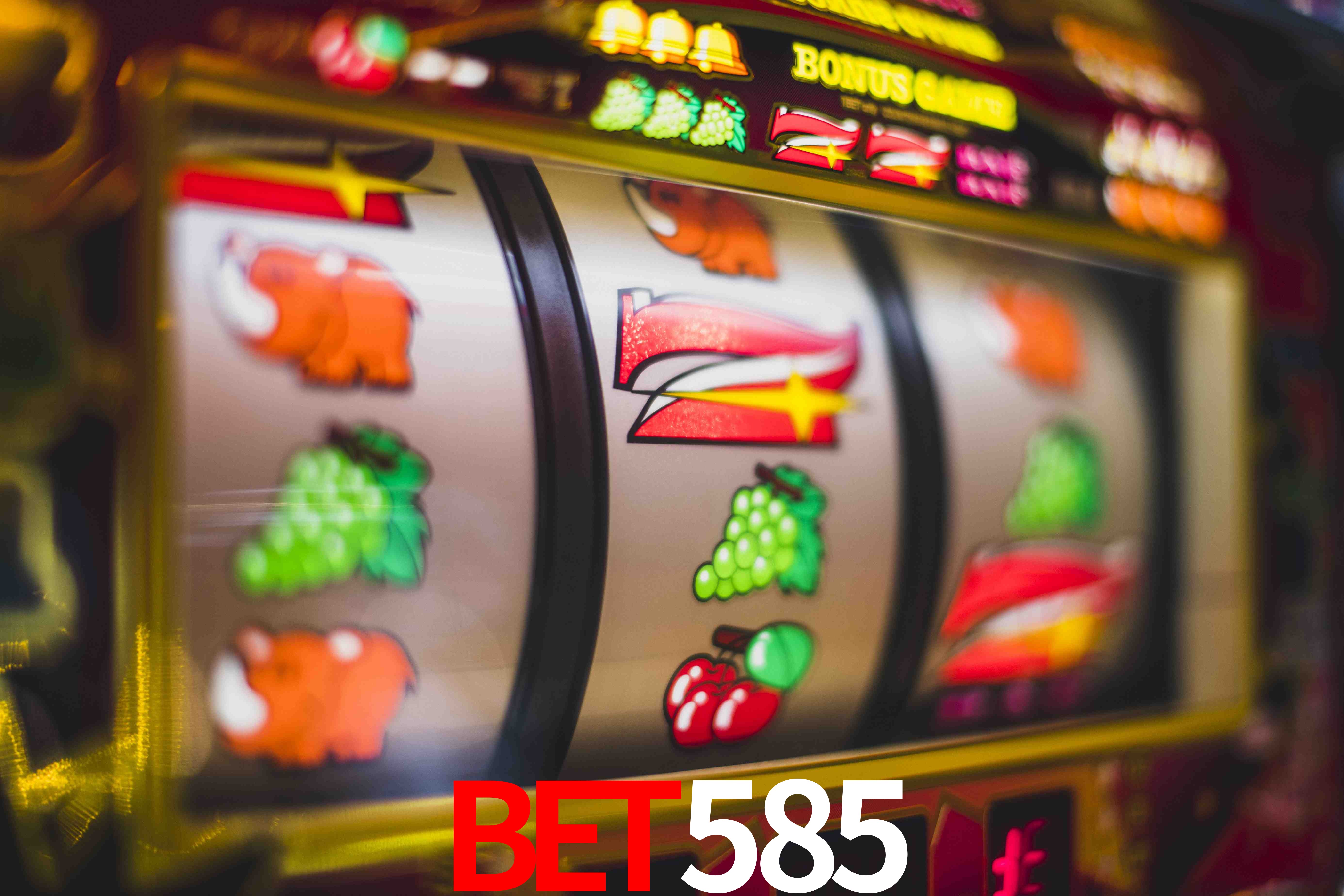 Live Casino BET585